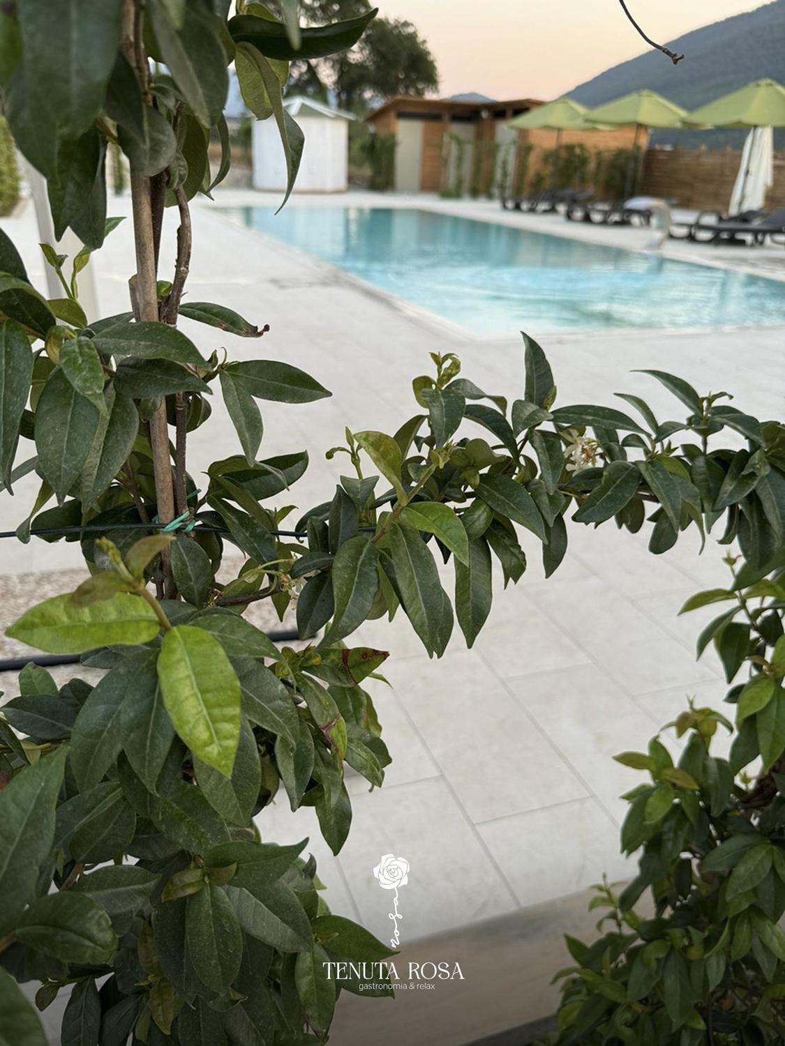 Tenuta Rosa - Gastronomia E Relax Montesano Scalo ภายนอก รูปภาพ